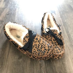 Ugg Dakota NEVER WORN